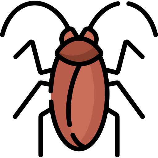 Cockroach Control