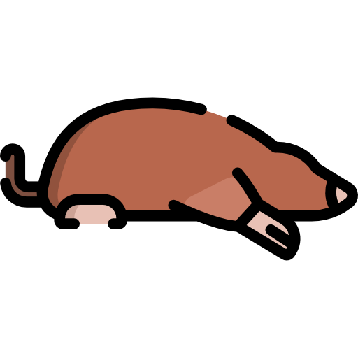 Mole Control