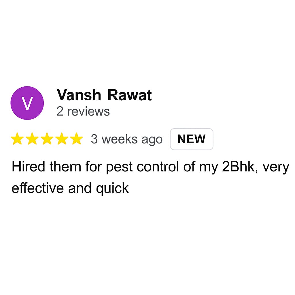 Review 1
